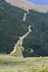 布塞吉 徒步旅行 欧洲 风景 登山 岩石 罗马尼亚 低的