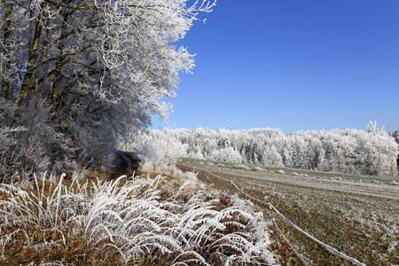 捷克共和国波西米亚中部美丽的童话雪冬乡村，蓝天