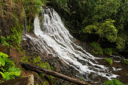 夏威夷 美国 瀑布 自然 风景 考艾