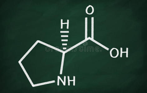 公式 酸的 蛋白质 化学 粉笔 骨骼 脯氨酸 插图 戒指