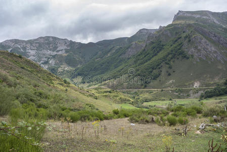 崎岖不平 植物区系 草地 风景 阿斯图里亚斯 树林 橡树