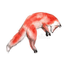 性格 形象 艺术 有趣的 狩猎 狐狸 可爱的 素描 动物