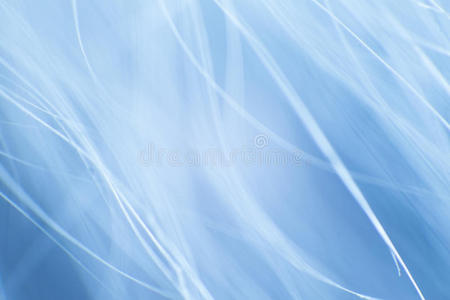 抽象的蓝色基调的毛皮宏。
