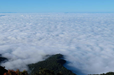 公园 颜色 小山 日出 美丽的 薄雾 风景 自然 森林 泰国