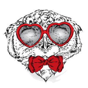 可爱的猫头鹰戴着眼镜的心。 情人节。
