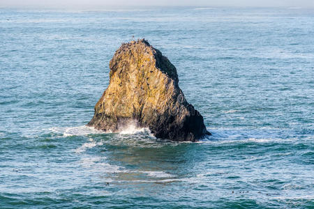 加利福尼亚 海洋 海湾 旅行 沿海 海岸 美国 天空 太平洋