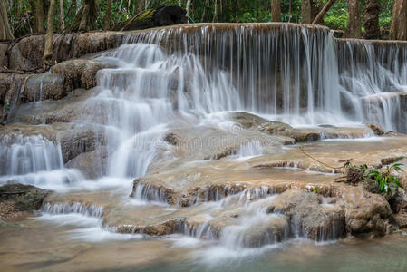 丛林 纯洁 美丽的 风景 亚洲 卡敏 落下 自然 环境 流动的