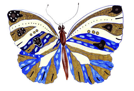 手绘 梦想 动物 昆虫 美丽的 美女 艺术品 收集 蝴蝶
