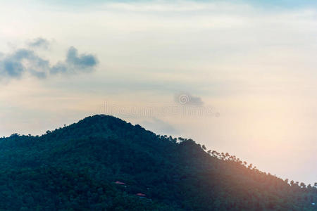 场景 美丽的 图里 自然 地平线 阳光 环境 天空 森林