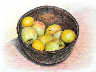 苹果和柠檬在一个碗中,孤立在白色背景的手上,用彩色铅笔画照片