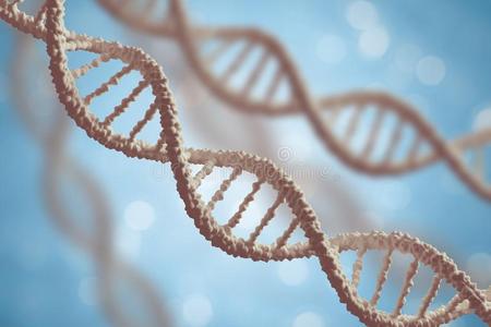 染色体生物学图片