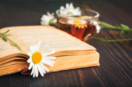 茶和毛笔一杯茶,洋甘菊和桌子上的一本书照片