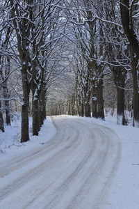 积雪路面