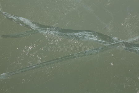 诺西德尔湖上冰的裂缝
