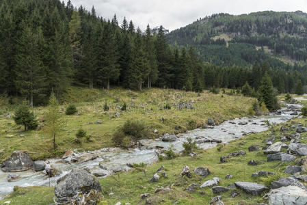 徒步旅行 自然 迈克尔 阿尔卑斯山 旅游 隆戈 假期 流动