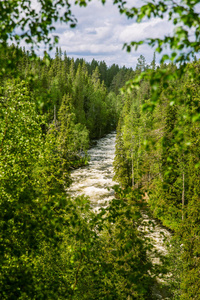 芬兰美丽的河流景观