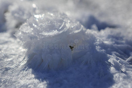 季节 雪花 冬天 窗口 玻璃 天气 艺术 自然 纹理 寒冷的