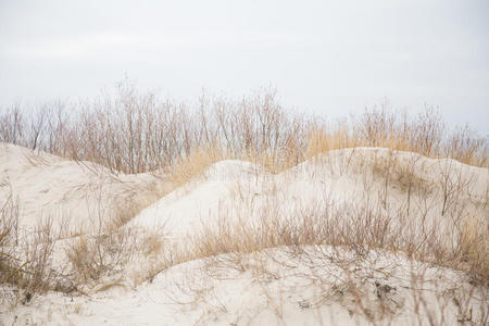 波罗的海海岸线上沙丘的美丽景观