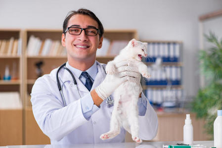 疾病 基蒂 体育课 实验室 检查 小猫 医学 医院 医生