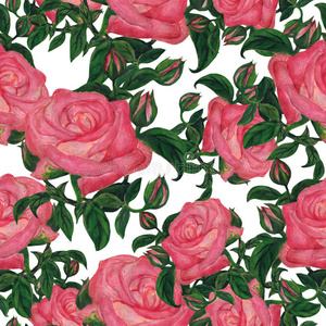美女 艺术品 玫瑰 插图 卡片 邀请 花园 植物 织物 招呼