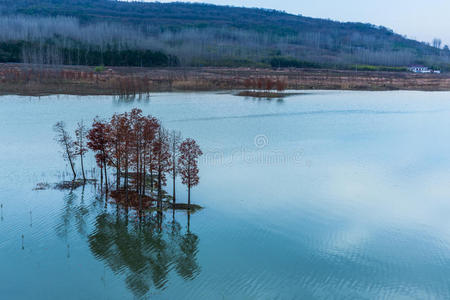 小山 薄雾 镜子 风景 公园 红木 美女 全景 环境 公司