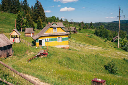 欧洲 文化 自然 全景 小山 森林 土地 国家的 美丽的