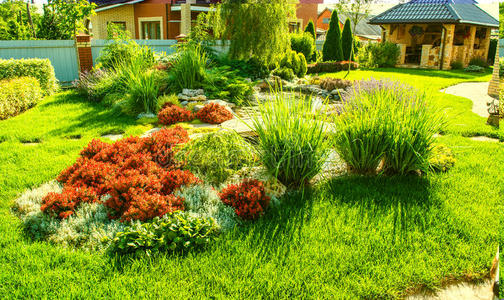 美丽的后院景观设计. 观赏五颜六色的树木和装饰修剪的灌木丛岩石照片