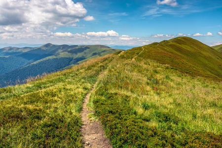 草地 高的 范围 山坡 边缘 旅游业 喀尔巴阡山 冒险 追踪