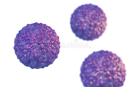 胚芽 肝脏 肝炎 信封 黄病毒科 黄病毒 微生物 健康 特写镜头
