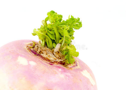 根茎类蔬菜照片