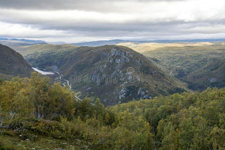 挪威 森林 岩石 峡谷 冒险 山坡 全景 安第斯山脉 农场