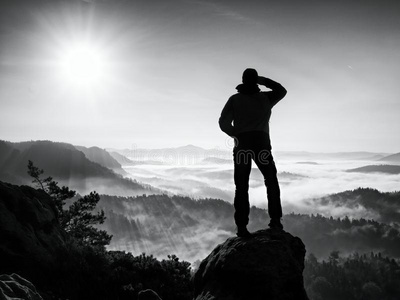 数说大自然图片