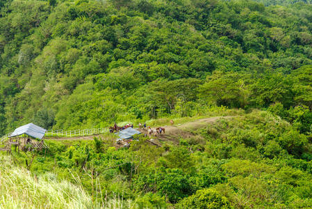 旅游 山丘 小山 跟踪 菲律宾 首脑会议 塔尔 高的 徒步旅行