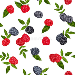 形象 分支 黑莓 颜色 甜点 植物 覆盆子 接缝 绘画 物体
