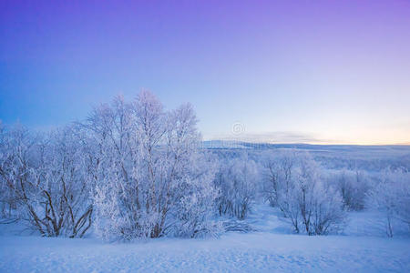 拉普兰冬季寒冷的景观