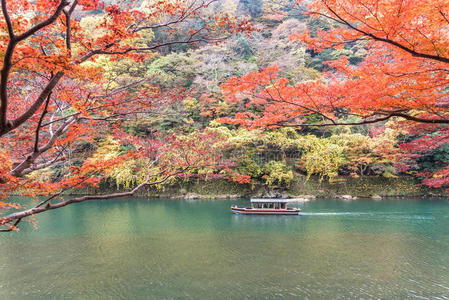 自然 目的地 秋天 分支 形象 卡苏拉 日本 日光 徒步旅行