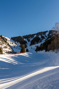 下坡 风景 自然 斜坡 滑雪板 滑雪 小山 圣诞节 季节
