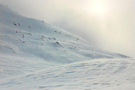 寒冷的 风景 粉刷 冬天 踪迹 瑞士 在下面