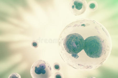 受精 健康 基因 微生物 细菌 鸡蛋 插图 免疫 生物技术