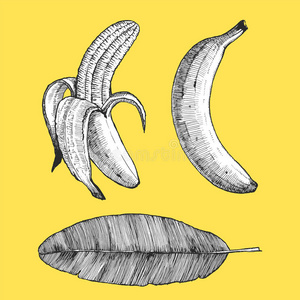 香蕉切段图片-香蕉切段素材-香蕉切段插画-摄图新视界