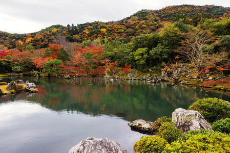 秋叶在藤吉，阿拉山