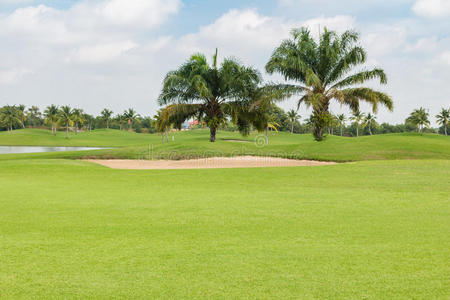 天空 自然 春天 领域 夏天 棕榈 风景 高尔夫球运动 草地