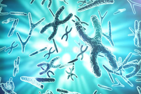人类 微生物学 插图 基因组 细胞 核型 克隆 组蛋白 进化