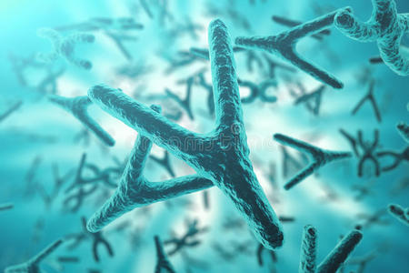 克隆 继承 微生物学 健康 细胞 核型 插图 生物化学 基因组