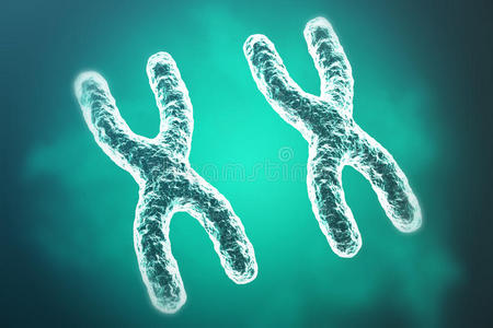 科学背景下的染色体。 生命和生物学，医学科学。 三维渲染