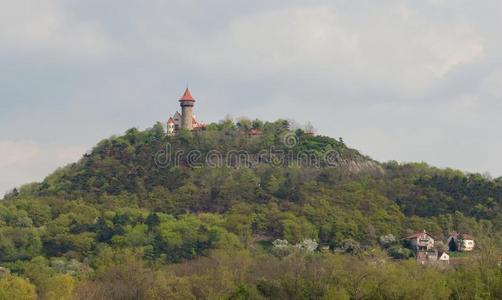 建筑学 美丽的 共和国 旅行 城市 城堡 建筑 冬天 公园