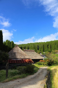 乡村风光