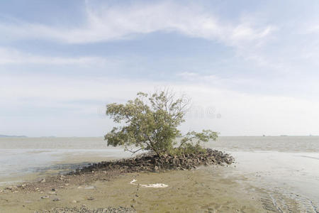 独奏 日光 马六甲 土地 海景 马来西亚 自然 自然摄影