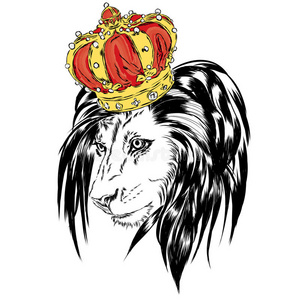 戴着皇冠的漂亮狮子. 野兽之王.