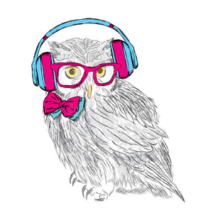 滑稽的猫头鹰戴着耳机和太阳镜。